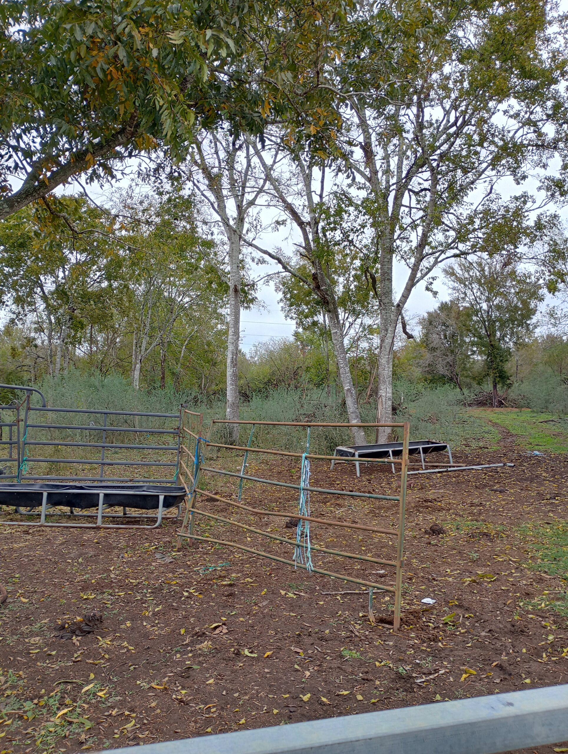 40602 Crump Ferry Rd Brookshire, Texas