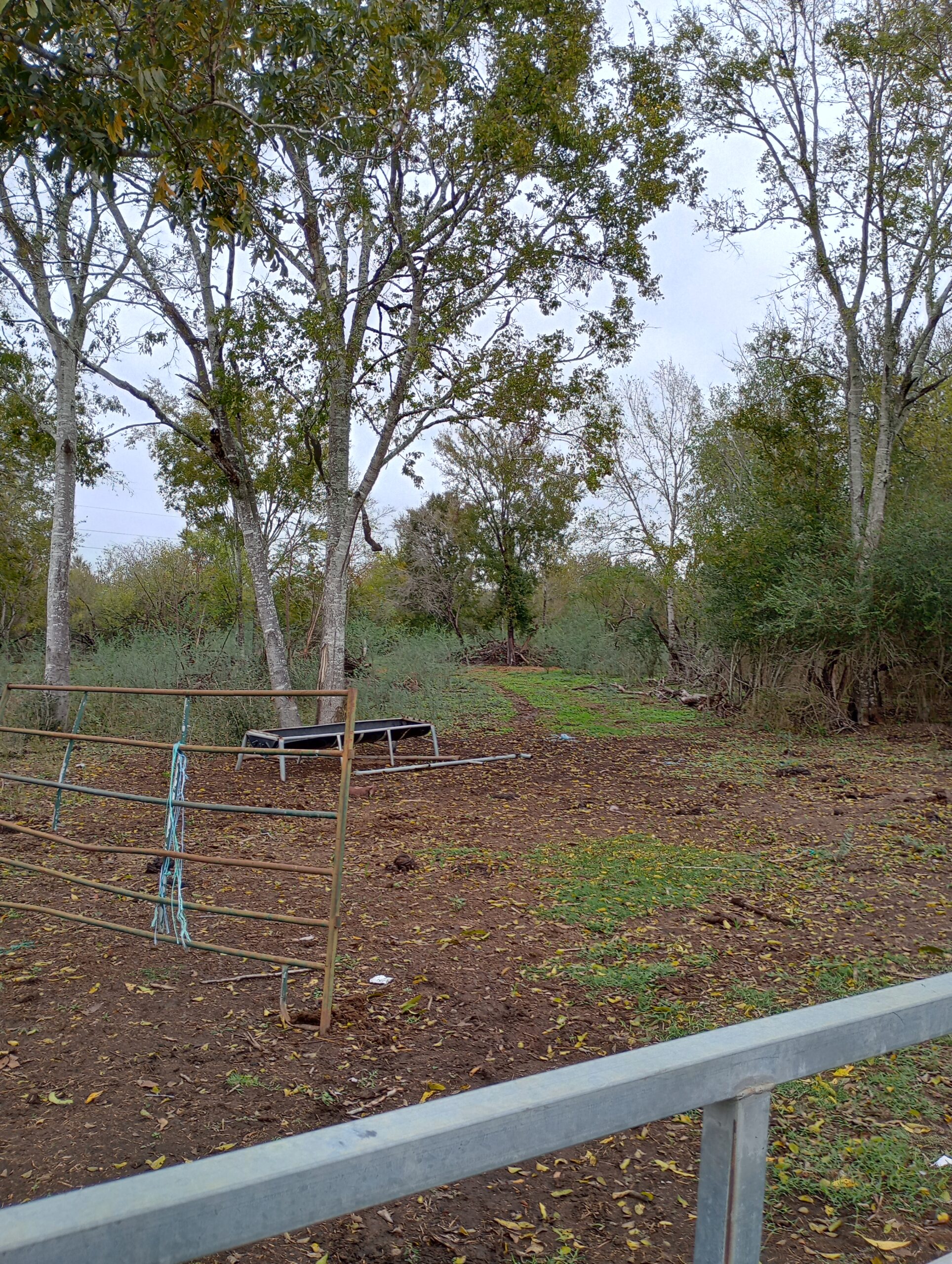 40602 Crump Ferry Rd Brookshire, Texas