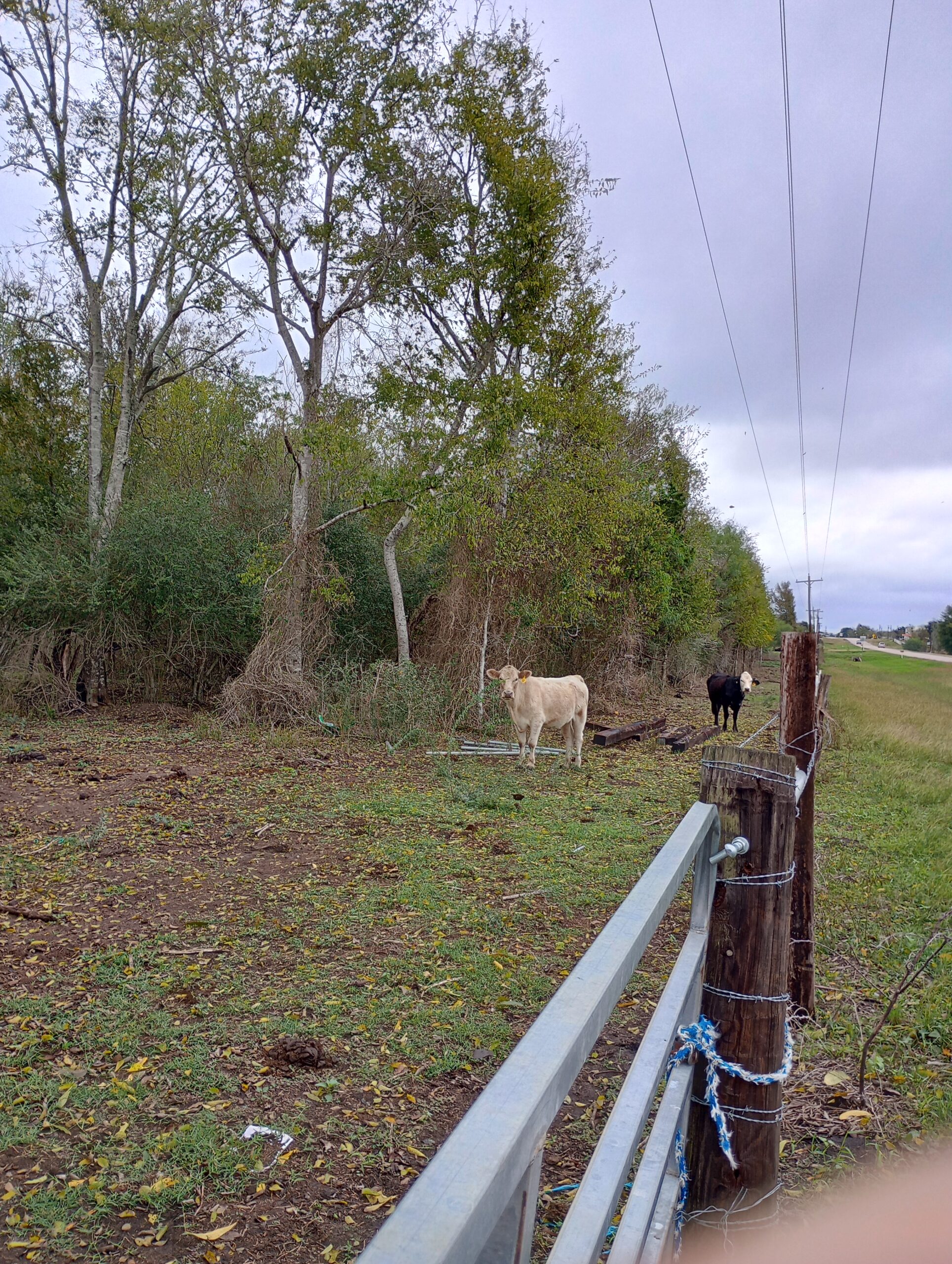 40602 Crump Ferry Rd Brookshire, Texas